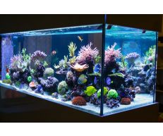 Светодиодная лента 3528 60/м 12В IP68 4.8Вт 5м 29360